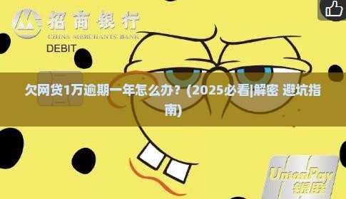 欠网贷1万逾期一年怎么办