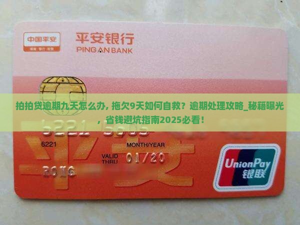 拍拍贷逾期九天怎么办
