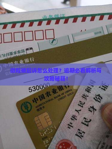 微粒贷被起诉了吗如何处理
