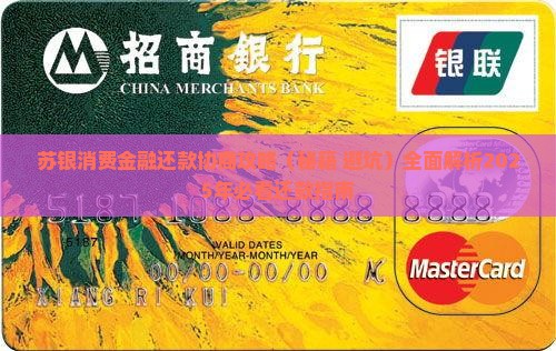 苏银消费金融还款协商攻略