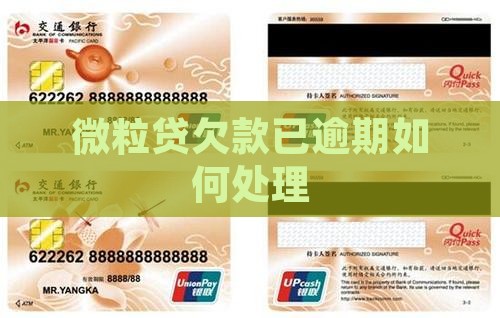 微粒贷欠款已逾期如何处理