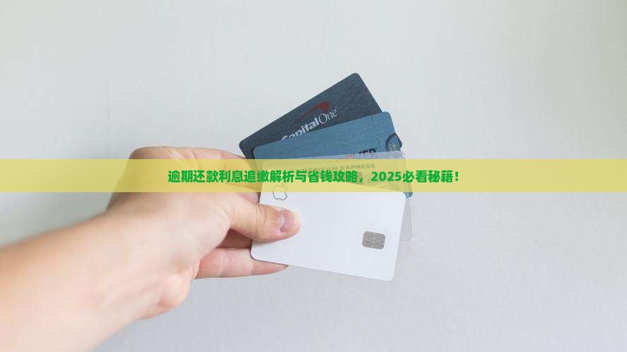 延期还款是否可以追缴利息