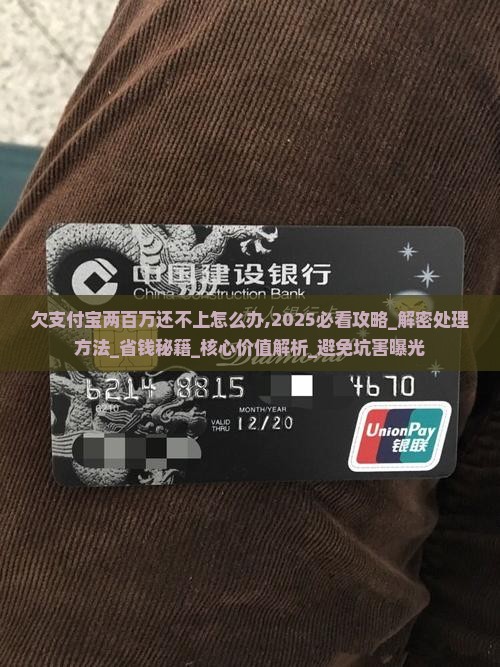 欠支付宝两百万还不上怎么办处理方法
