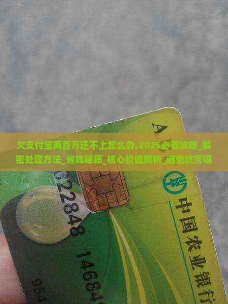 欠支付宝两百万还不上怎么办处理方法