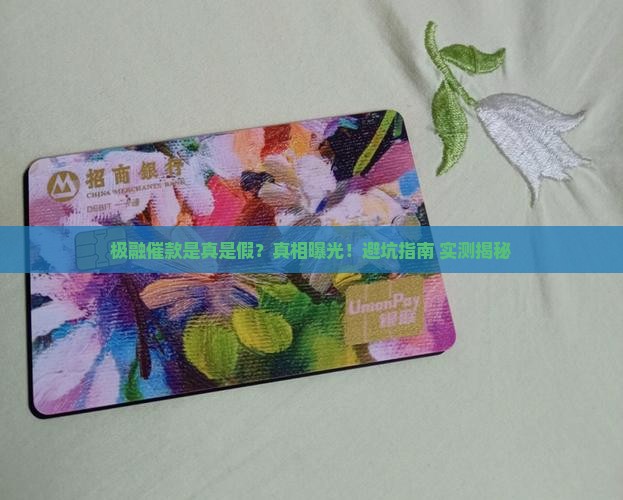 极融催款是真是假