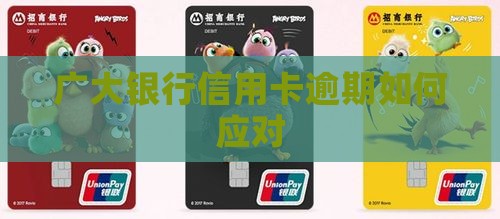 广大银行信用卡逾期如何应对