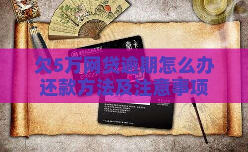 欠5万网贷逾期怎么办还款方法及注意事项