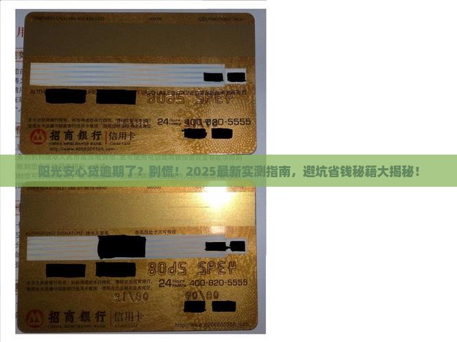 阳光安心贷逾期后会发生什么