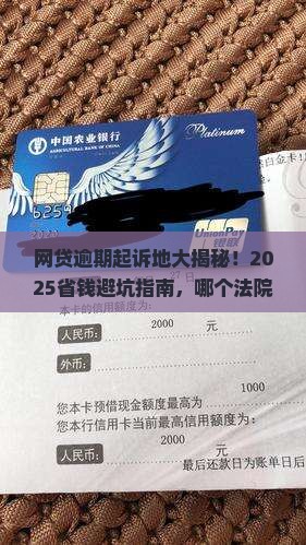网贷逾期在哪起诉最合适