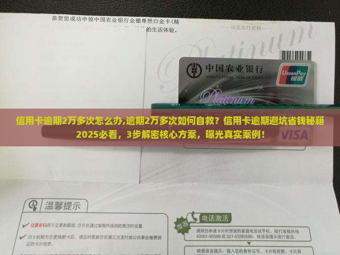 信用卡逾期2万多次怎么办