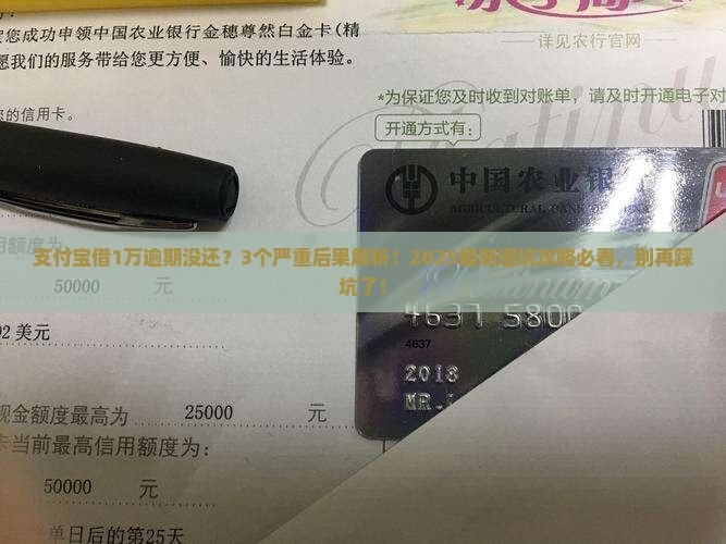支付宝借款达1万逾期未还后果严重吗