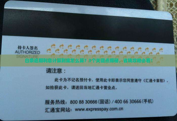 白条逾期利息计算公式详解