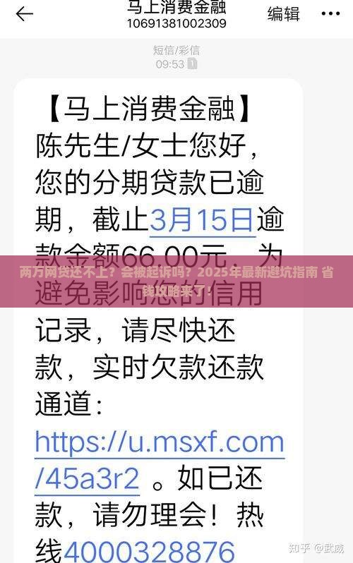 两万网贷会不会被起诉解决方案