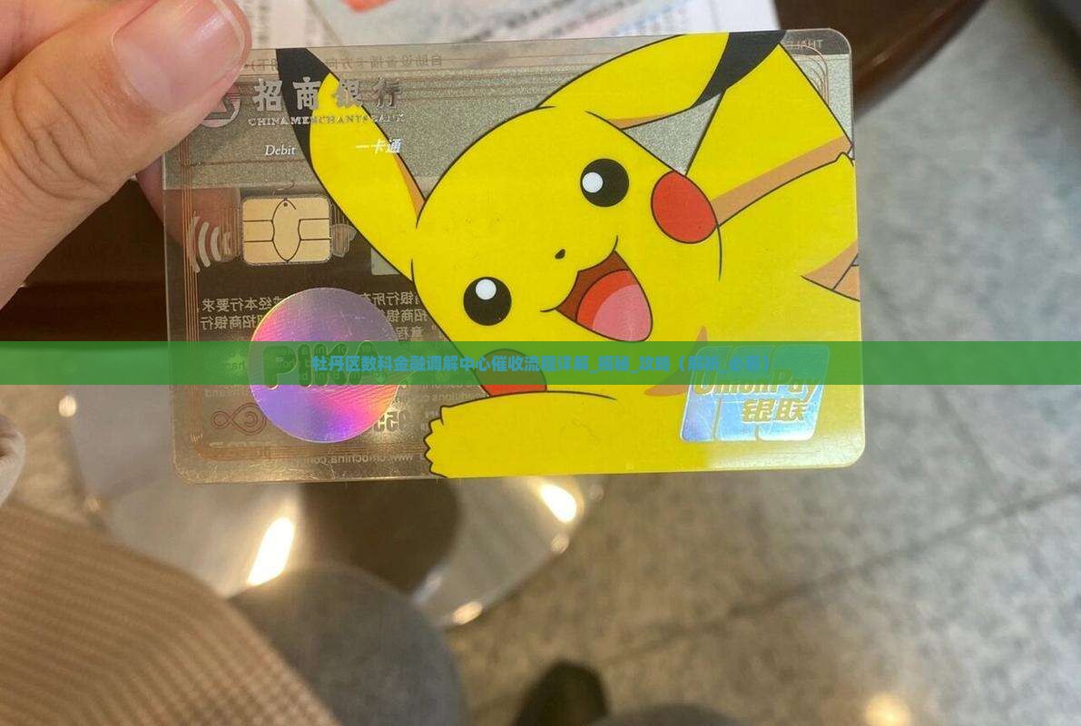 牡丹区数科金融调解中心催收流程详解