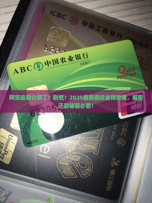 网贷逾期在分期怎么办理手续