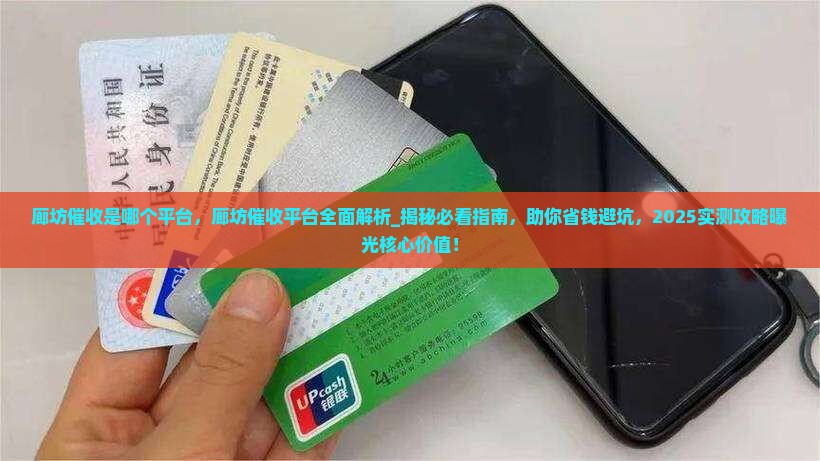 廊坊催收是哪个平台