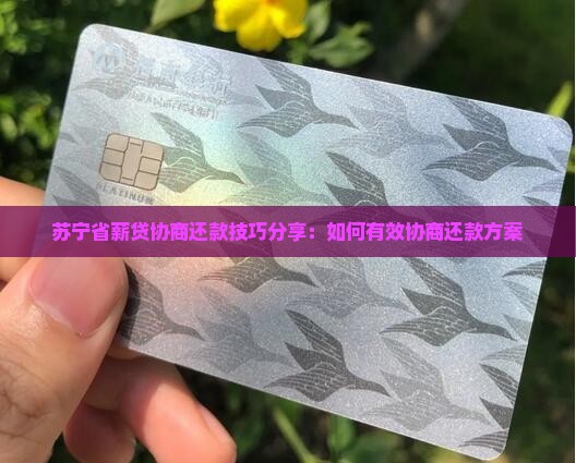 苏宁省薪贷协商还款技巧分享