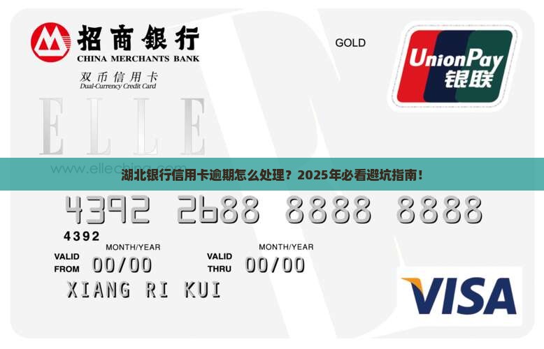 湖北银行信用卡逾期怎么办理