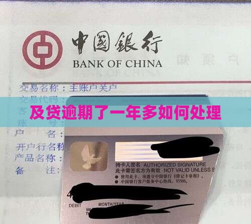 及贷逾期了一年多如何处理
