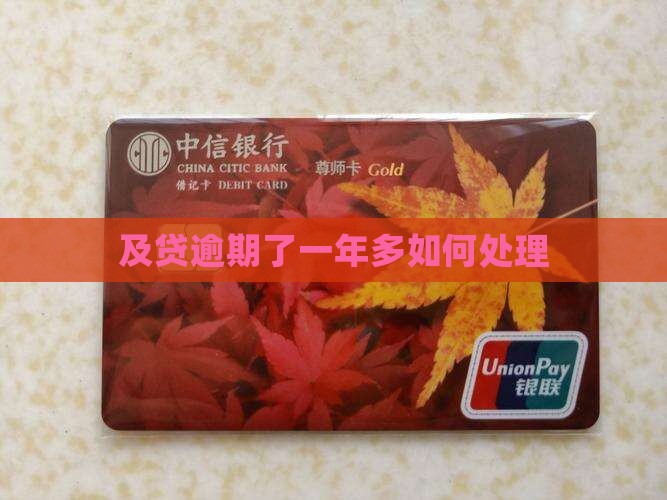 及贷逾期了一年多如何处理