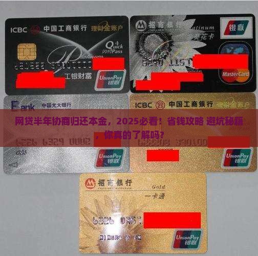 网贷半年协商归还本金的具体流程