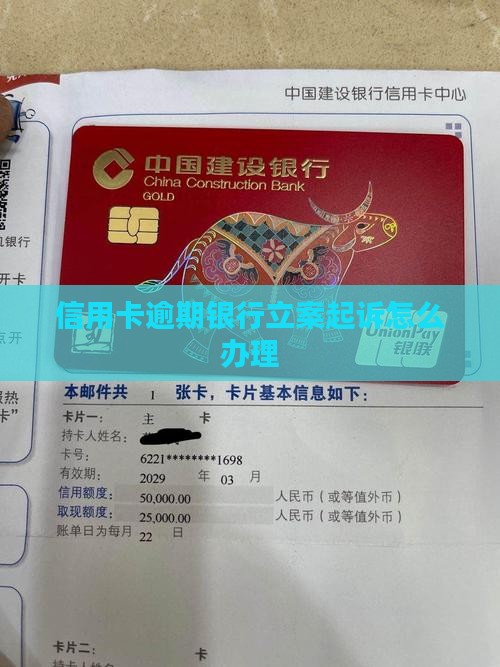 信用卡逾期银行立案起诉怎么办理