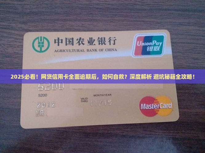 网贷信用卡全面逾期后怎么办