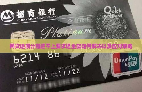 网贷逾期分期还不上要求还全款如何解决