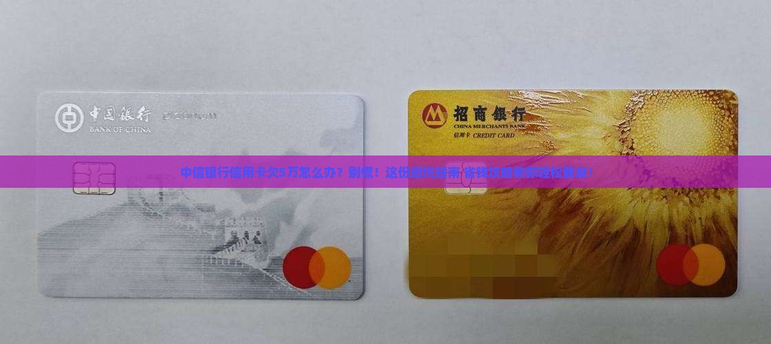 中信银行信用卡欠5万如何解决