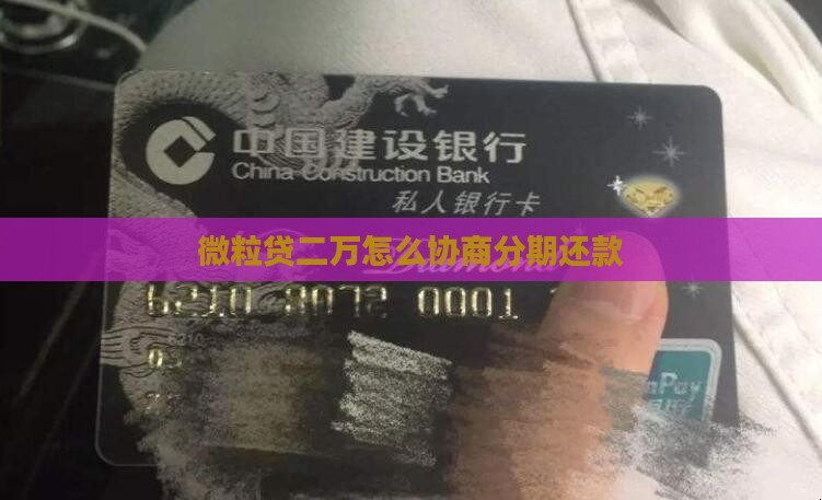 微粒贷二万怎么协商分期还款