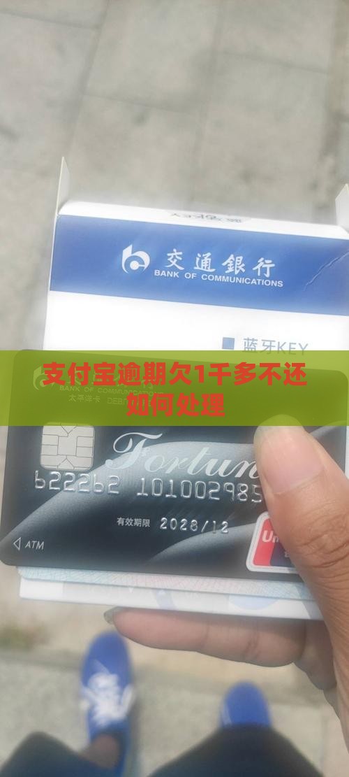 支付宝欠1千多不还如何处理