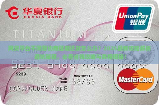 网贷平台不同意协商延期还款该怎么办