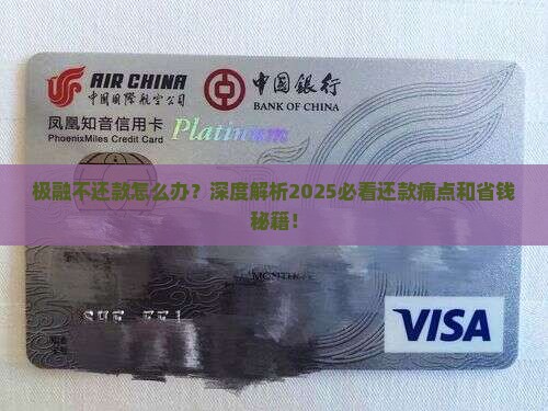 极融不还款怎么办