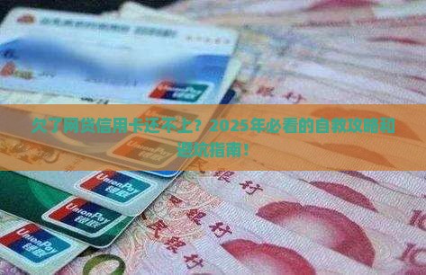 欠了网贷信用卡无力偿还应该怎么办