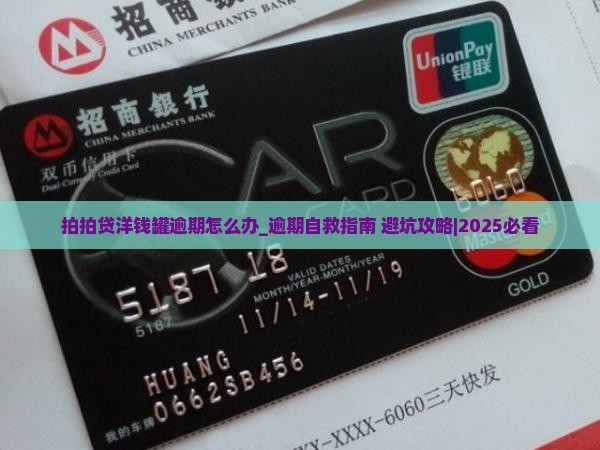 拍拍贷洋钱罐逾期怎么办