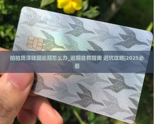 拍拍贷洋钱罐逾期怎么办