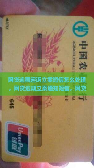 网贷逾期起诉立案短信怎么处理