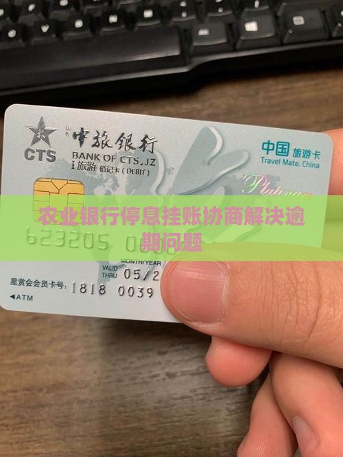 农业银行停息挂账的解决方案