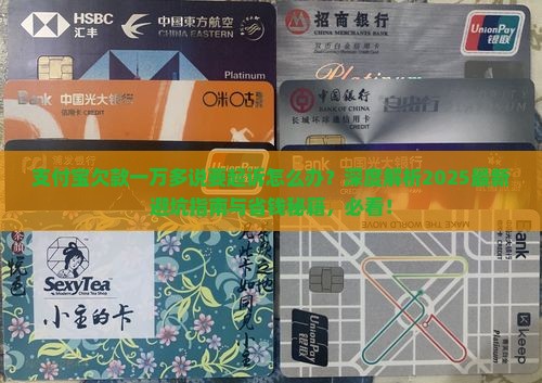 支付宝欠款一万多说要起诉怎么办