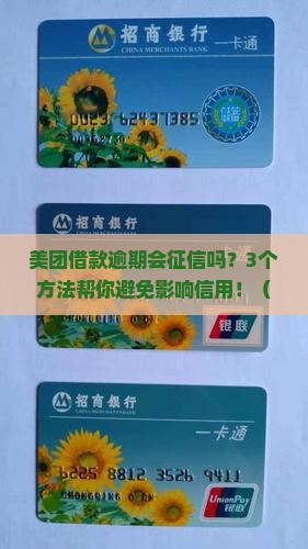 美团借款逾期纳入征信吗怎么处理