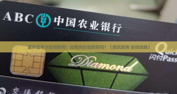 浦东信用卡逾期协商
