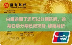 白条逾期了还可以分期还吗