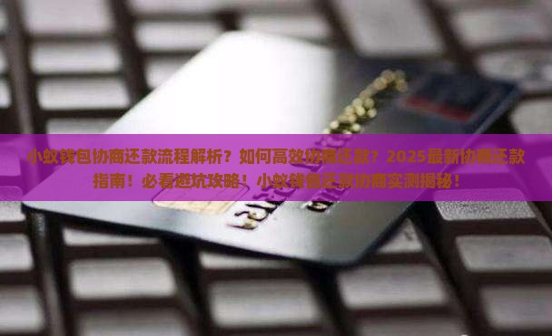 小蚁钱包协商还款流程是怎样的