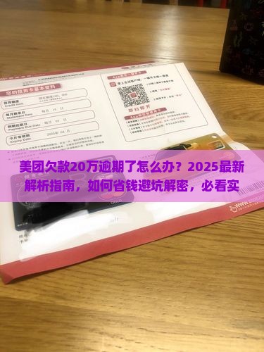 美团欠款20万逾期了