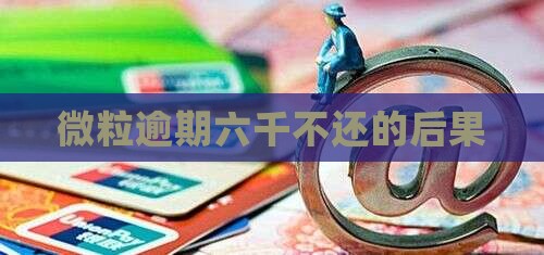 欠微粒贷六千不还会怎样