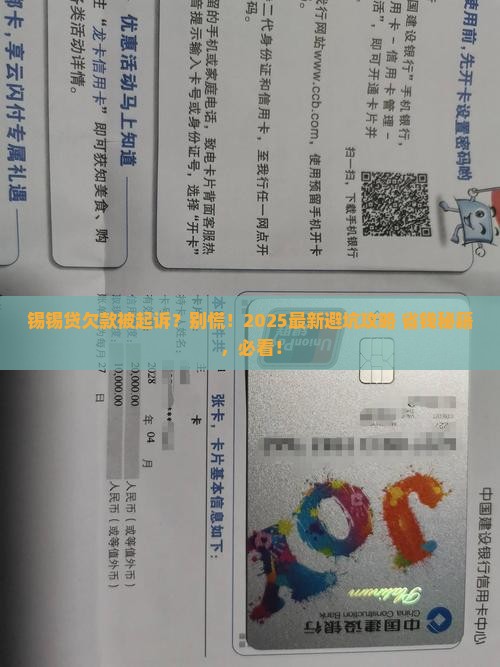 欠锡锡贷有被起诉的么怎么办理