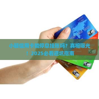 小额信用卡能停息挂账吗如何处理