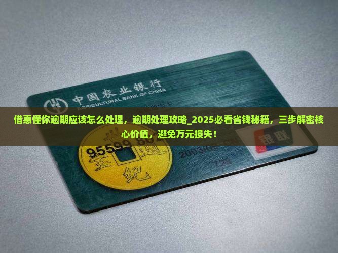 借惠懂你逾期应该怎么处理