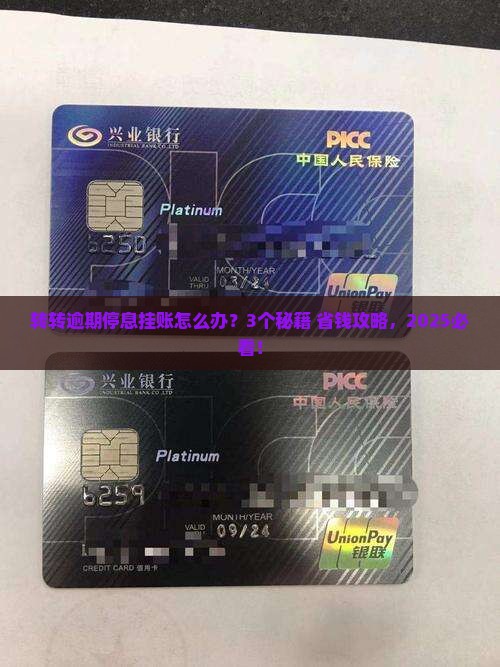 转转逾期停息挂账