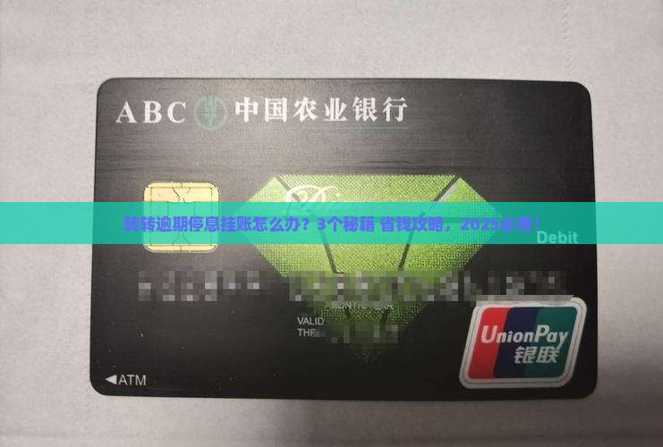 转转逾期停息挂账